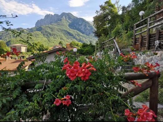 Agriturismo La Calamaia Gorfigliano Экстерьер фото